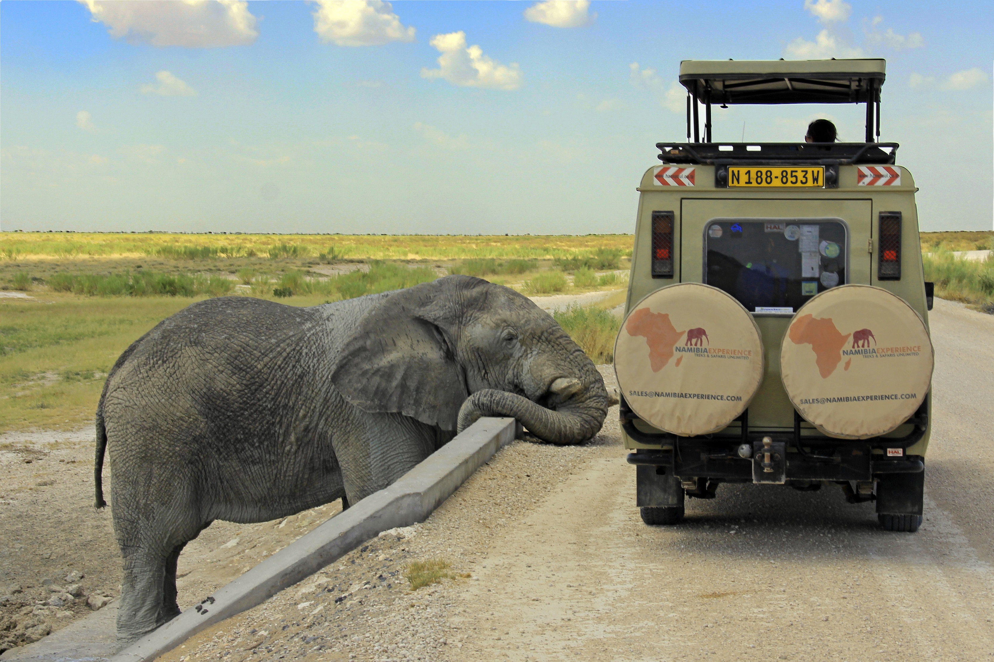 Elefanten hautnah - auf Afrika Safari durch Namibia